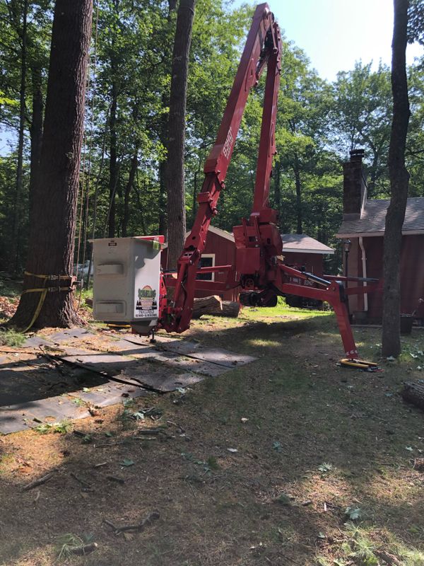 Stump Grinding and Removal