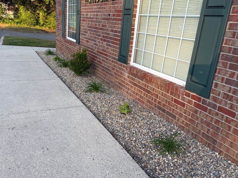Pavers & Patio