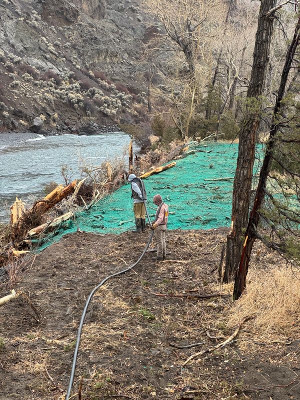 Residential and Commercial Hydroseeding
