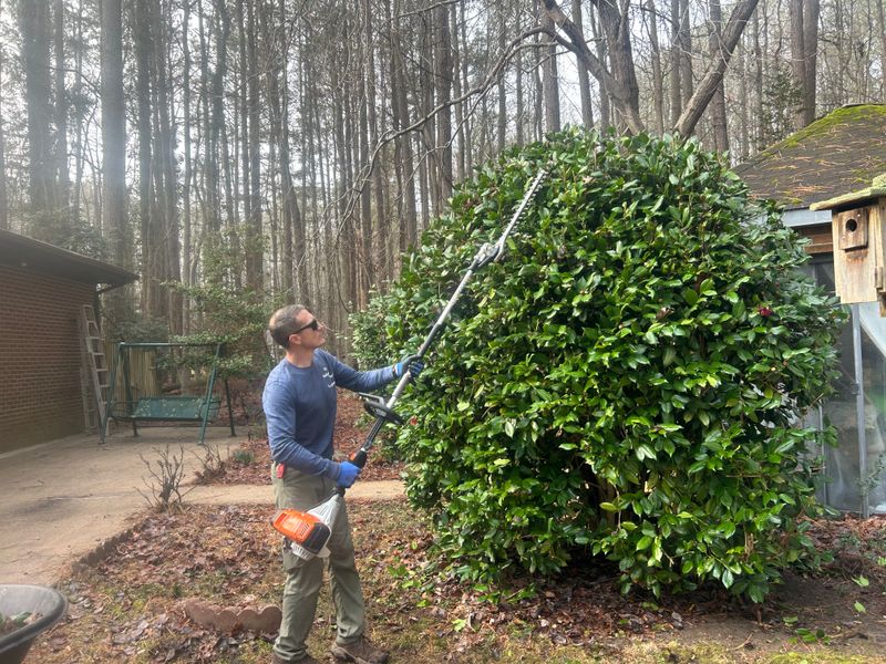 Shrub & Plant Trimming 
