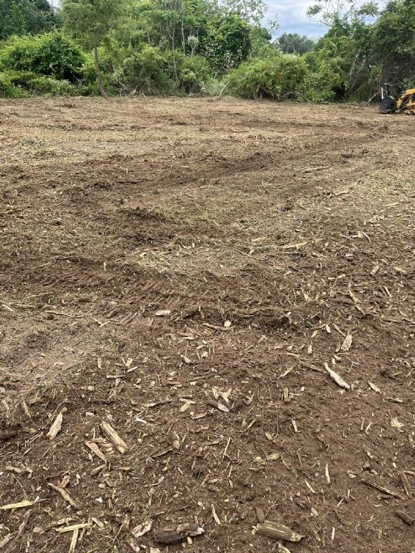 Forestry Mulching