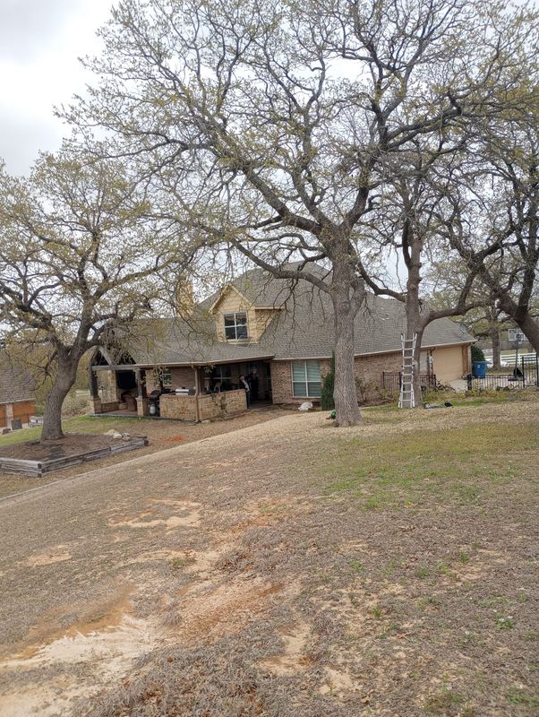 Tree Removal gallery