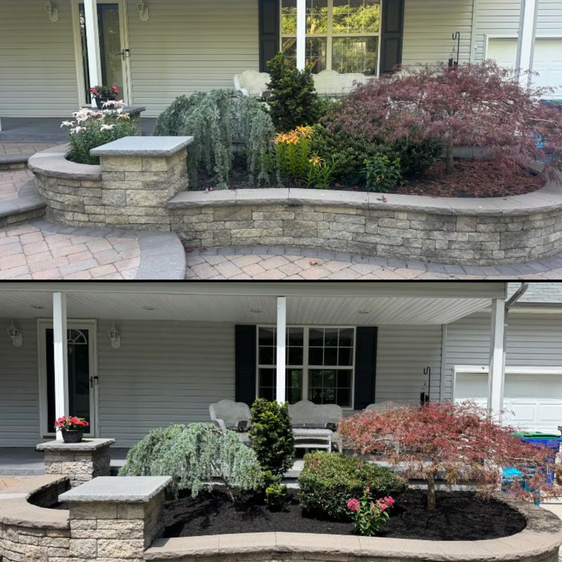 Tree & Shrub Care