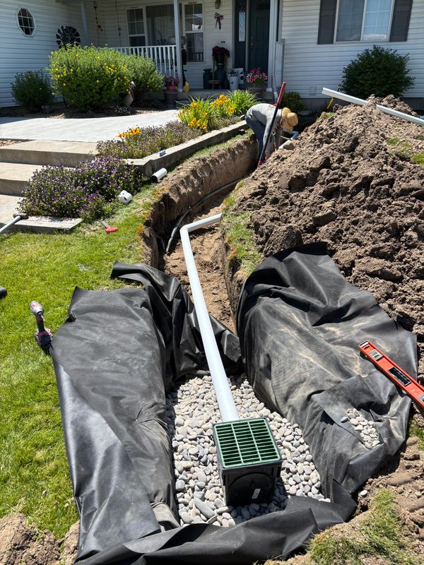 Downspout drains