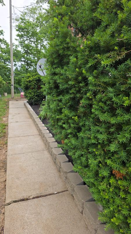 Mulch Installation