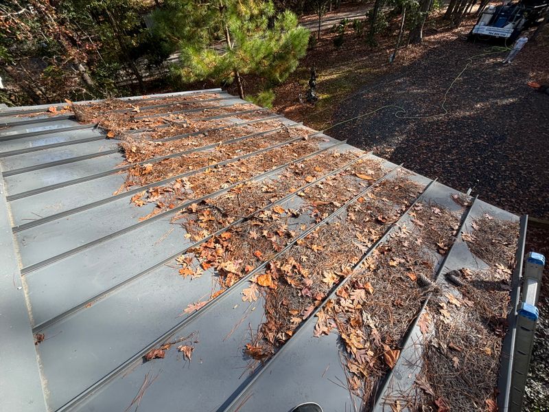 Gutter Cleaning