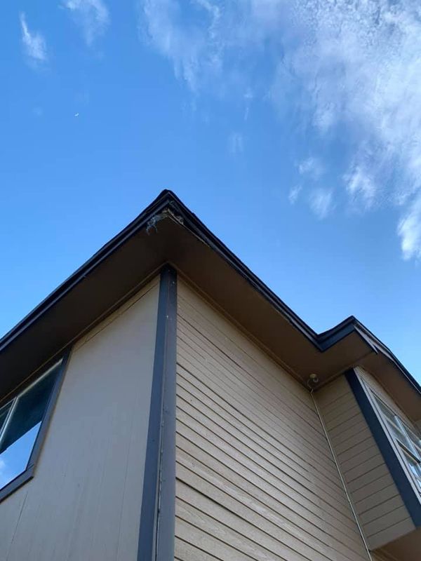 Deck & Patio Installation