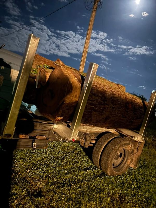 Logging