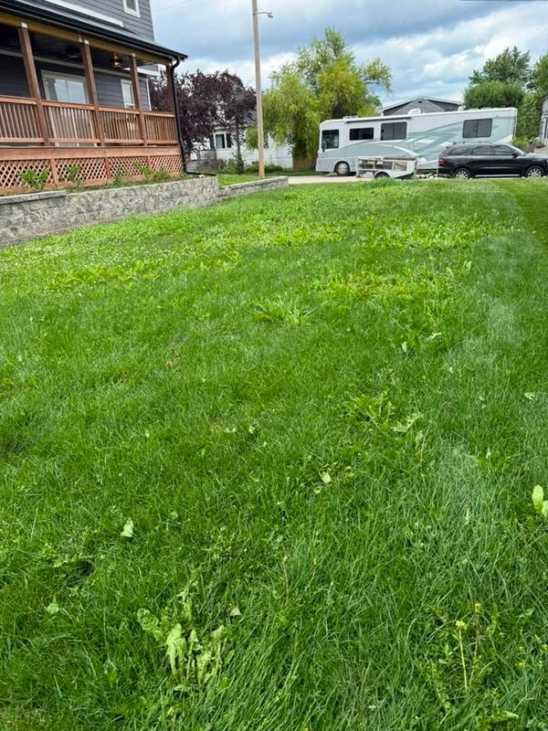 Lawn Maintenance