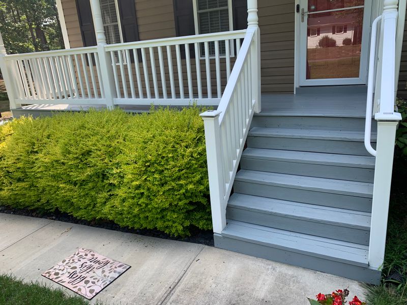 Deck and Fence Staining