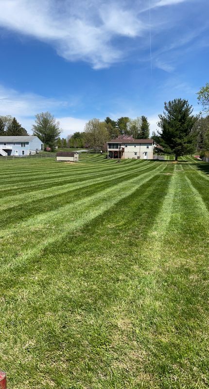 Lawn Care