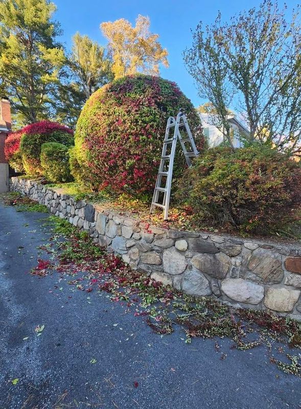 Fall Cleanups