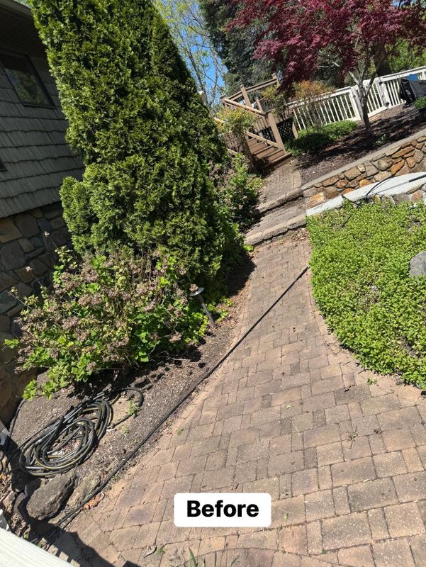 Driveway and Sidewalk Cleaning