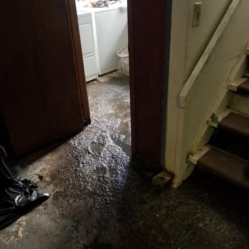 Sewage Backup