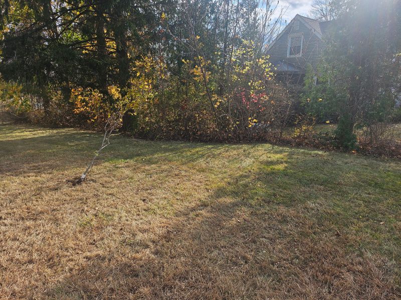 Spring & Fall Cleanups