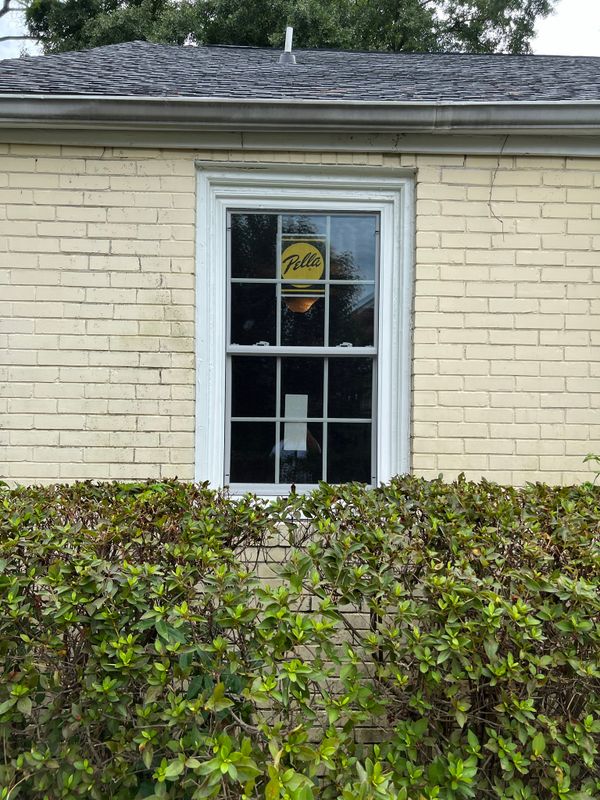 Expert Windows