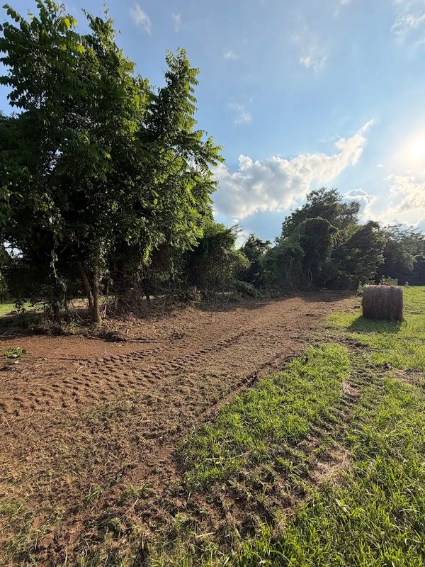 Site Preparation