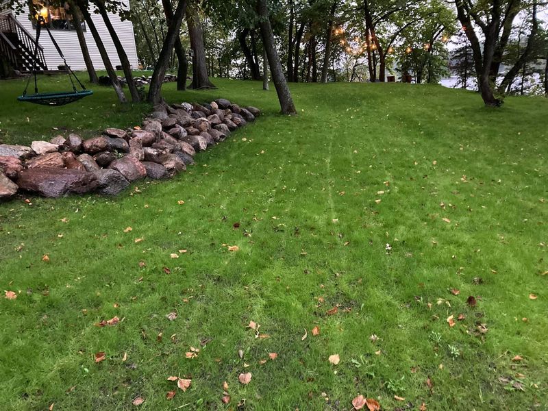 Erosion control / Hydroseeding gallery