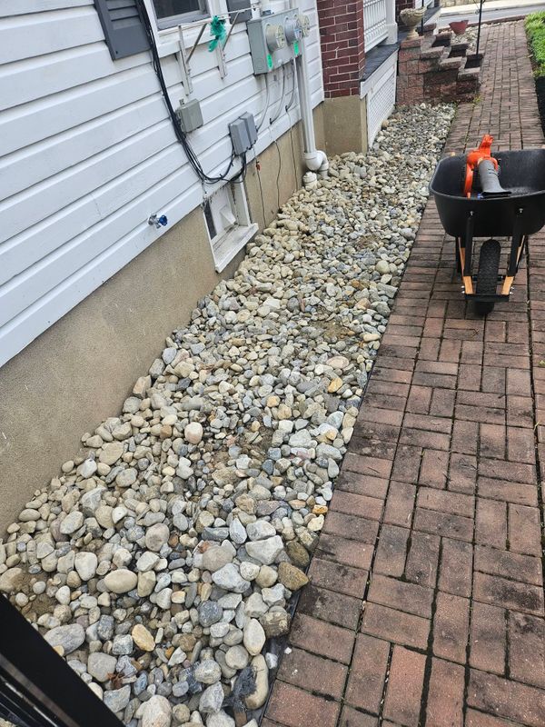Plant & Shrub Installations