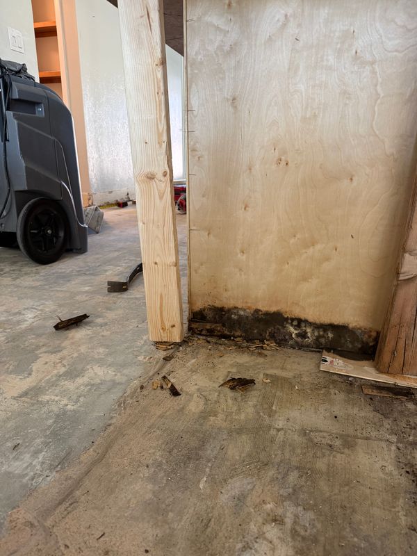 Mold Remediation
