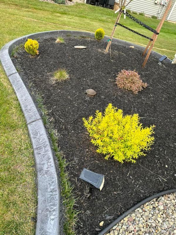 Shrub & Plant Installation Photos