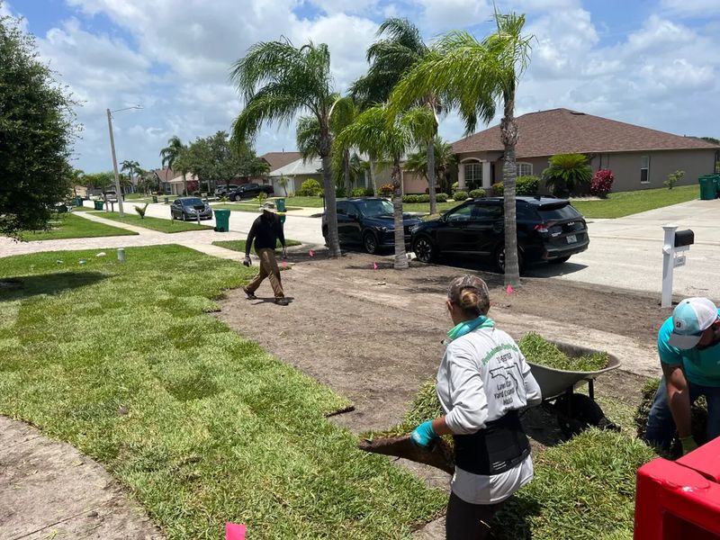 Sod Installation for Instant Green
