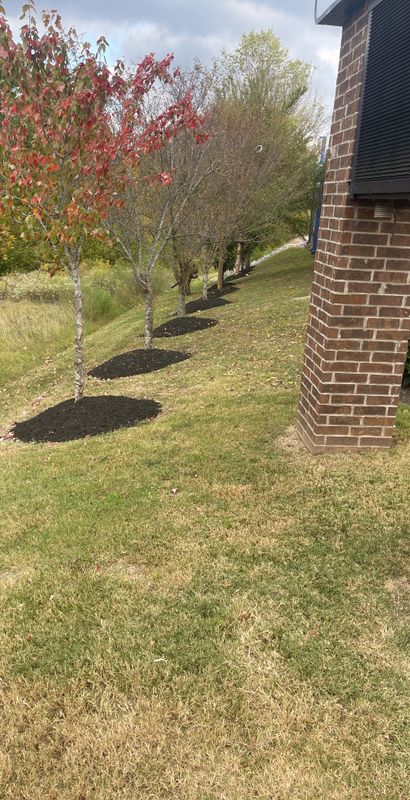 Landscaping