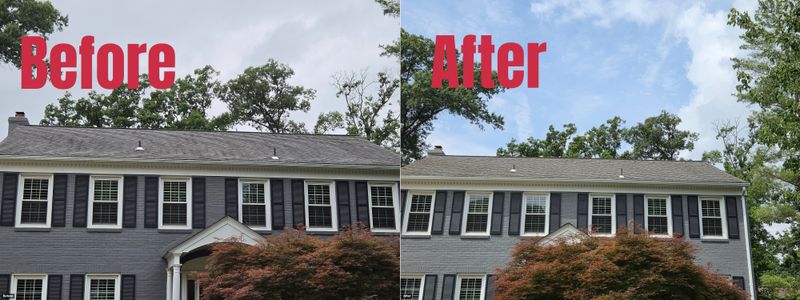 Transform Your Home with Professional Soft Washing