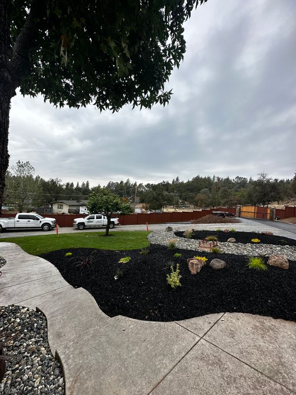 Landscaping