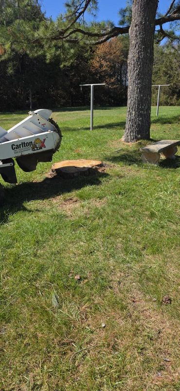 Stump Removal