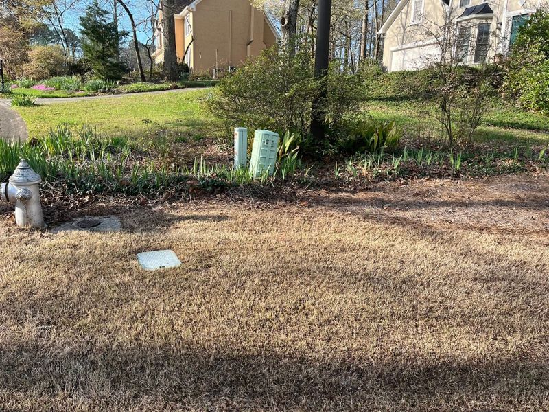 Tree Removal gallery