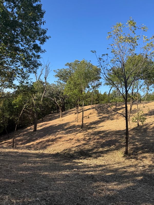 Forestry Mulching