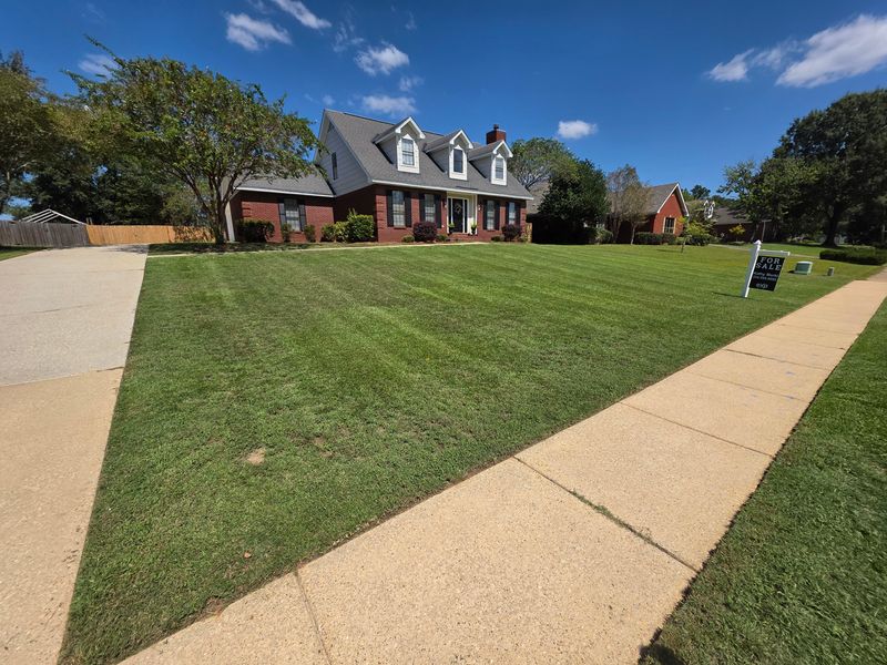Lawn Maintenance
