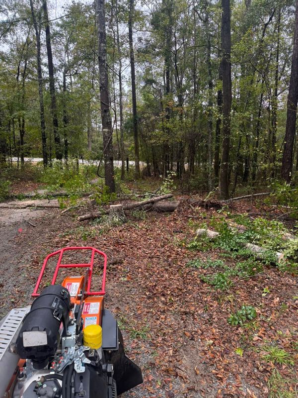Stump Grinding gallery
