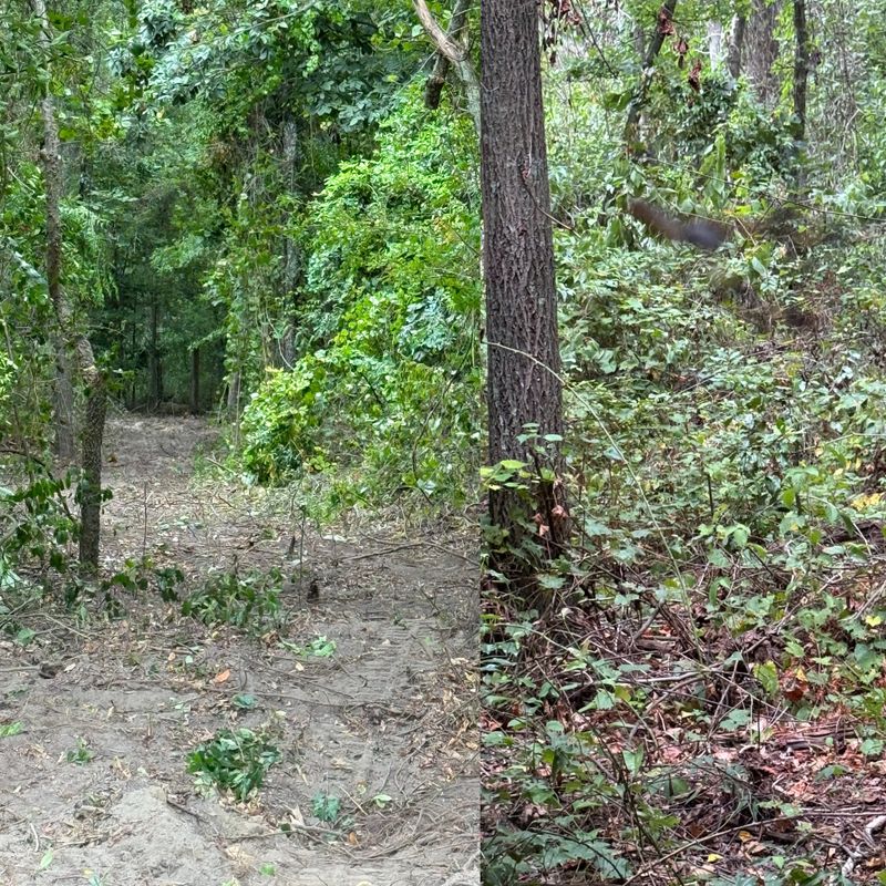 Land Managment 