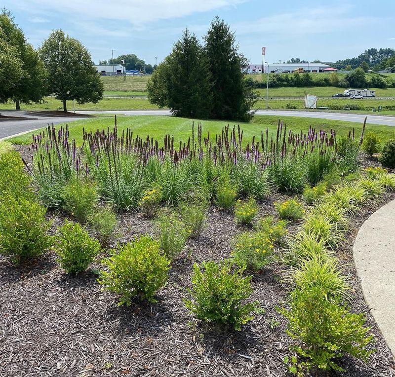 Landscape Consultation Design & Installation