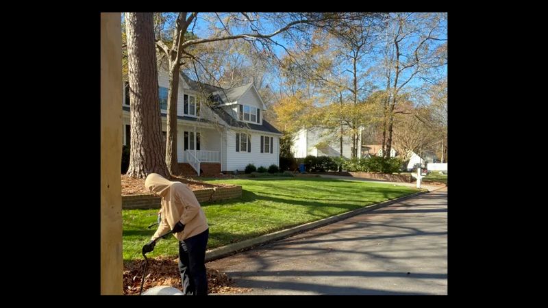 Leaf Removal
