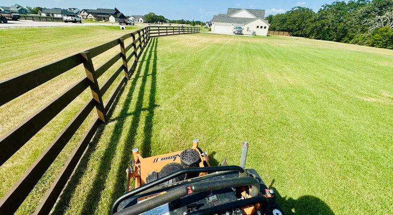 Lawn Maintenance