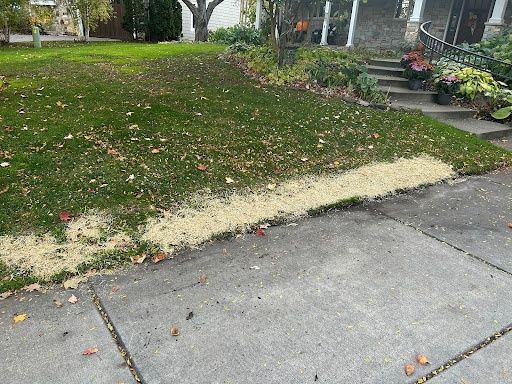 Hydroseeding