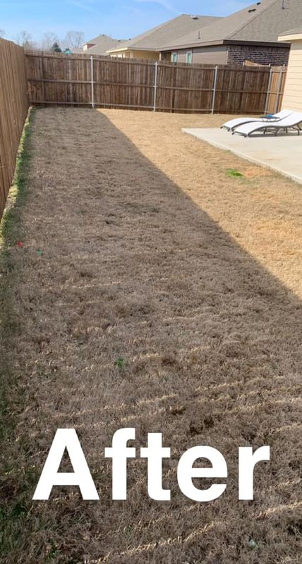 Pet Waste Removal
