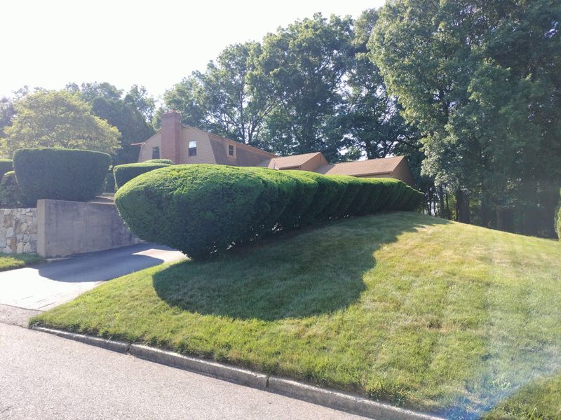 Landscaping gallery