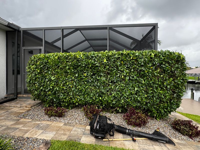Landscape Design and Construction