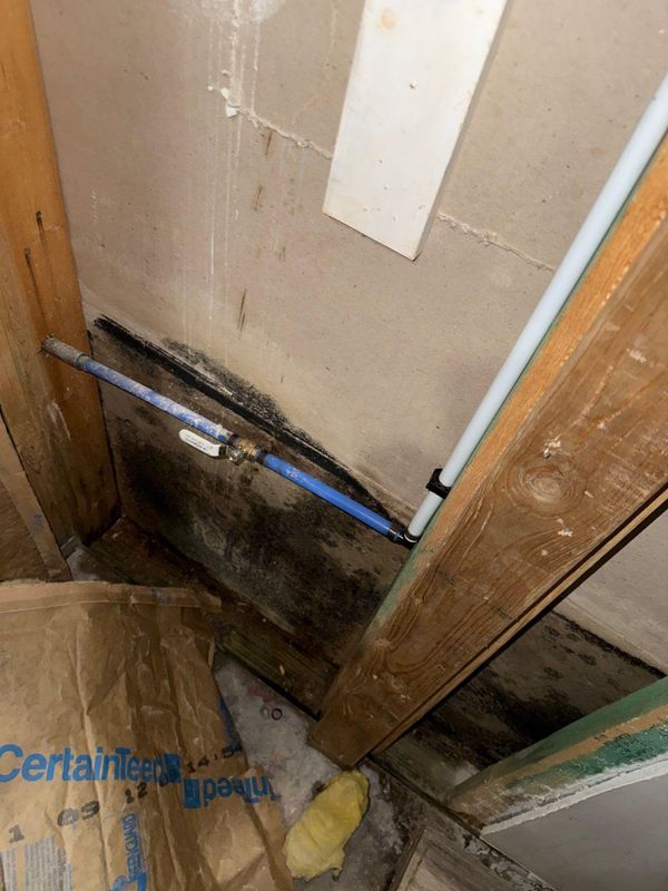 Main Waterline Instillation and Repair