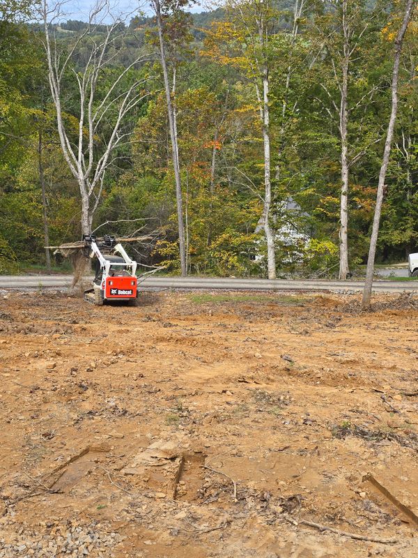 Land Clearing