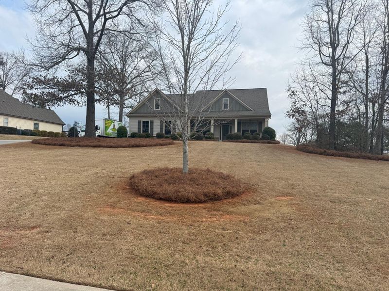 🏢 Commercial Landscape Installation