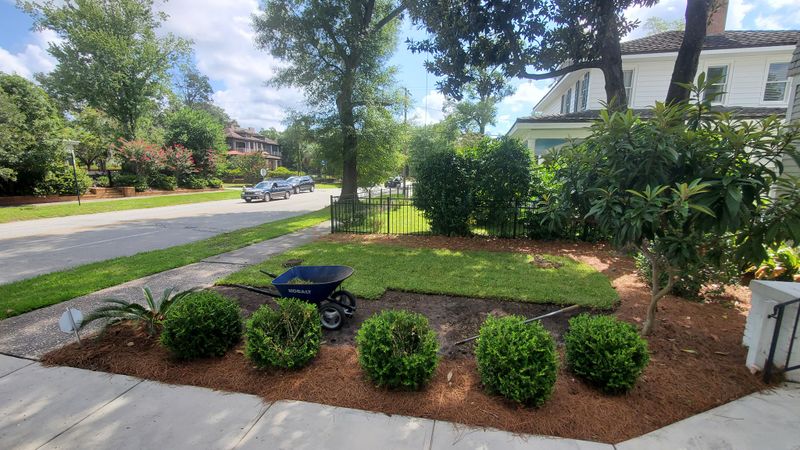 Landscaping