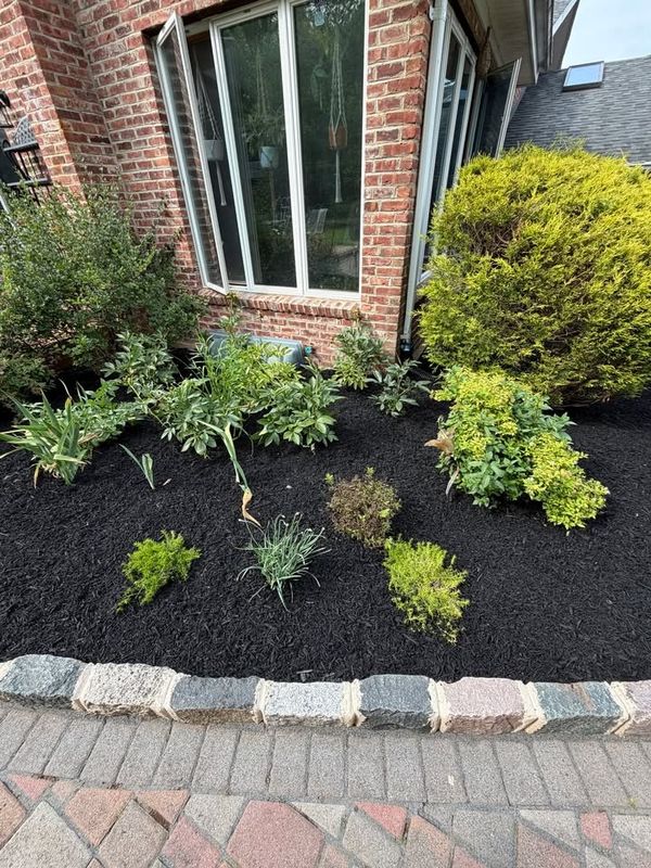 Tree & Perennial Planting