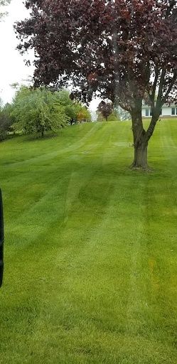 Lawn Mowing