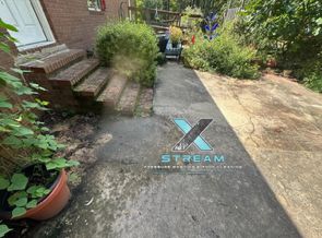 Driveway and Sidewalk Cleaning