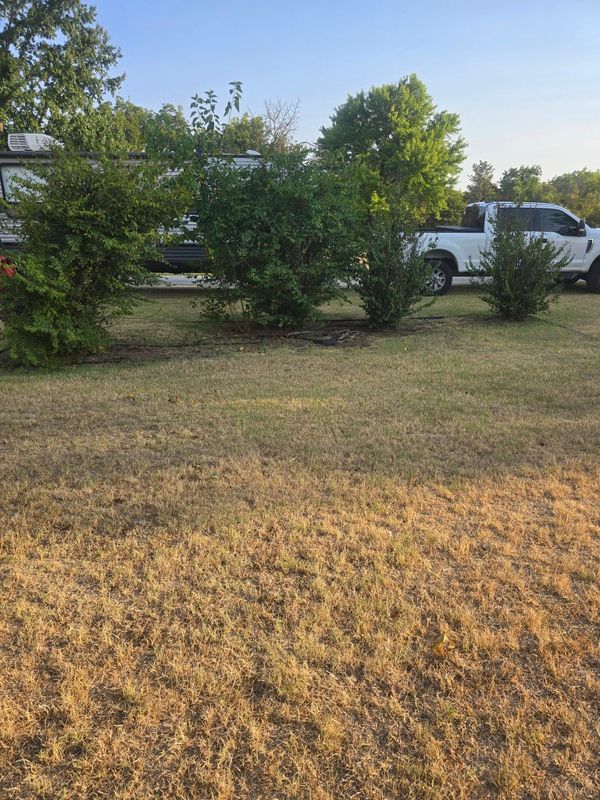 Land Clearing and Vegetation Removal